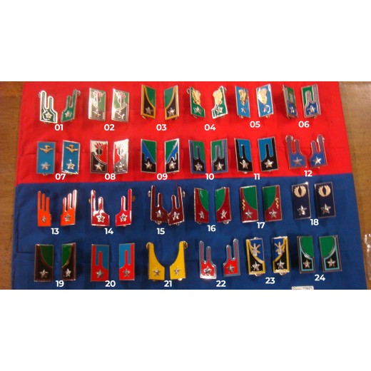 MOSTRINE METALLO DROP INVERNALE VARI RGT. - ESERCITO ITALIANO - 