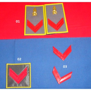 1 GDF