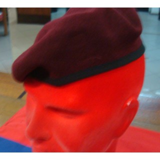 3 PARA'