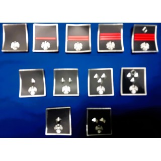 17 PP
